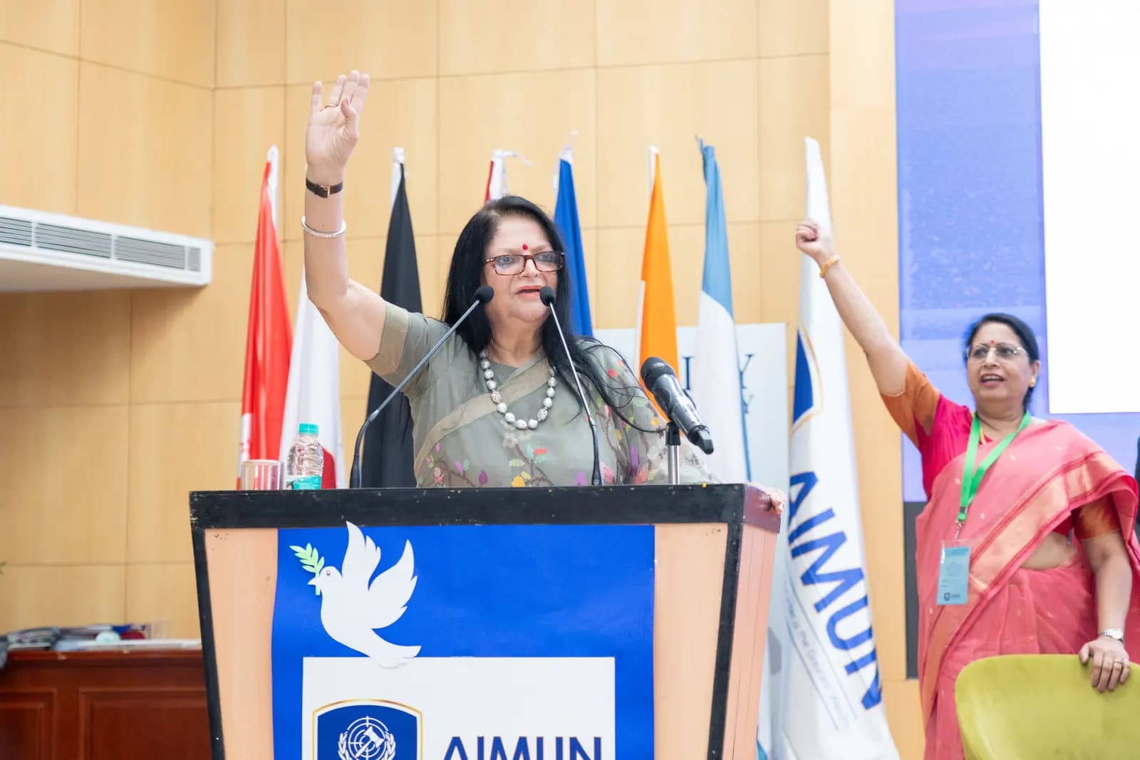 AIMUN Day 1